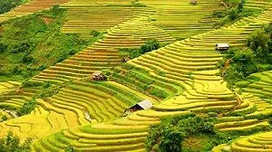 Hoang Su Phi, Ha Giang Province, Vietnam