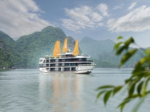 2D1N La Regina Legend 5-Star Cruise in Lan Ha Bay