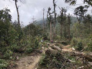 Trekking Fansipan Mountain