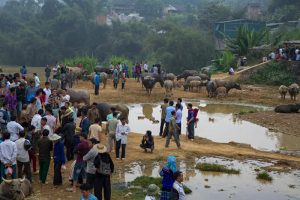 Can Cau Saturday Market
