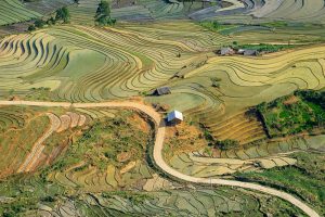 Hoang Su Phi rice terraced fields