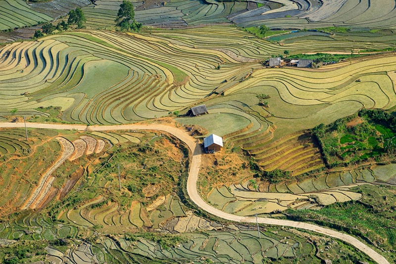 Hoang Su Phi rice terraced fields