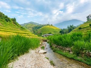Hoang Su Phi with diverse pedology and soil resources