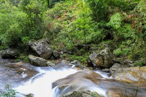 Stunning scenery and fresh cool atmosphere at Silver Waterfall