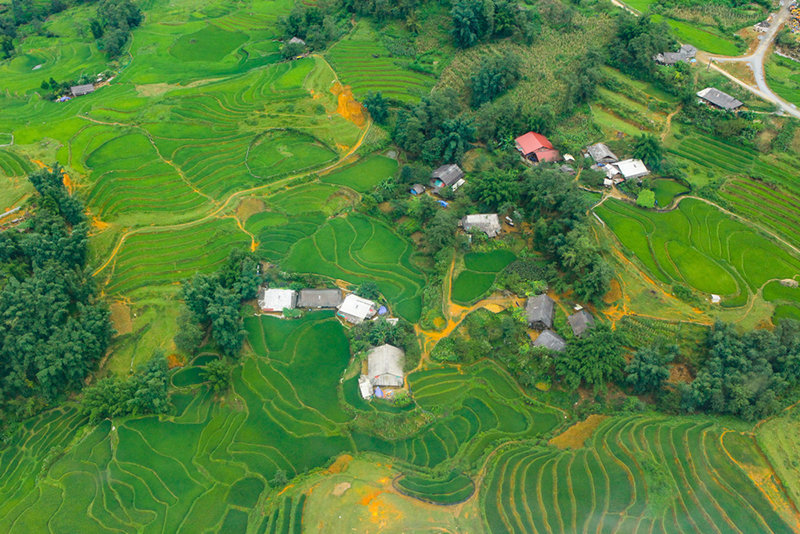The terraced fields are green in the summer