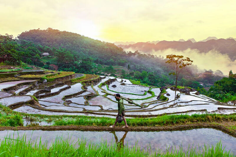 Terraced rice field in water season in Pu Luong