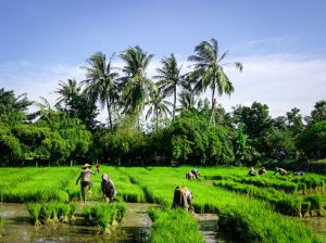 Daily life in Mekong Delta