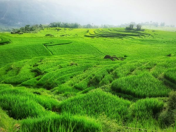 Trekking Pu Luong Nature Reserve